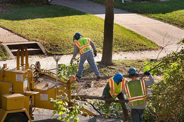 Best Lawn Drainage Solutions  in Boscobel, WI